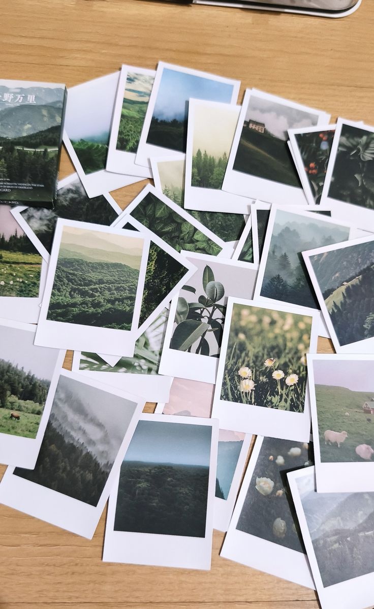 Pinhole camera & polaroids workshop