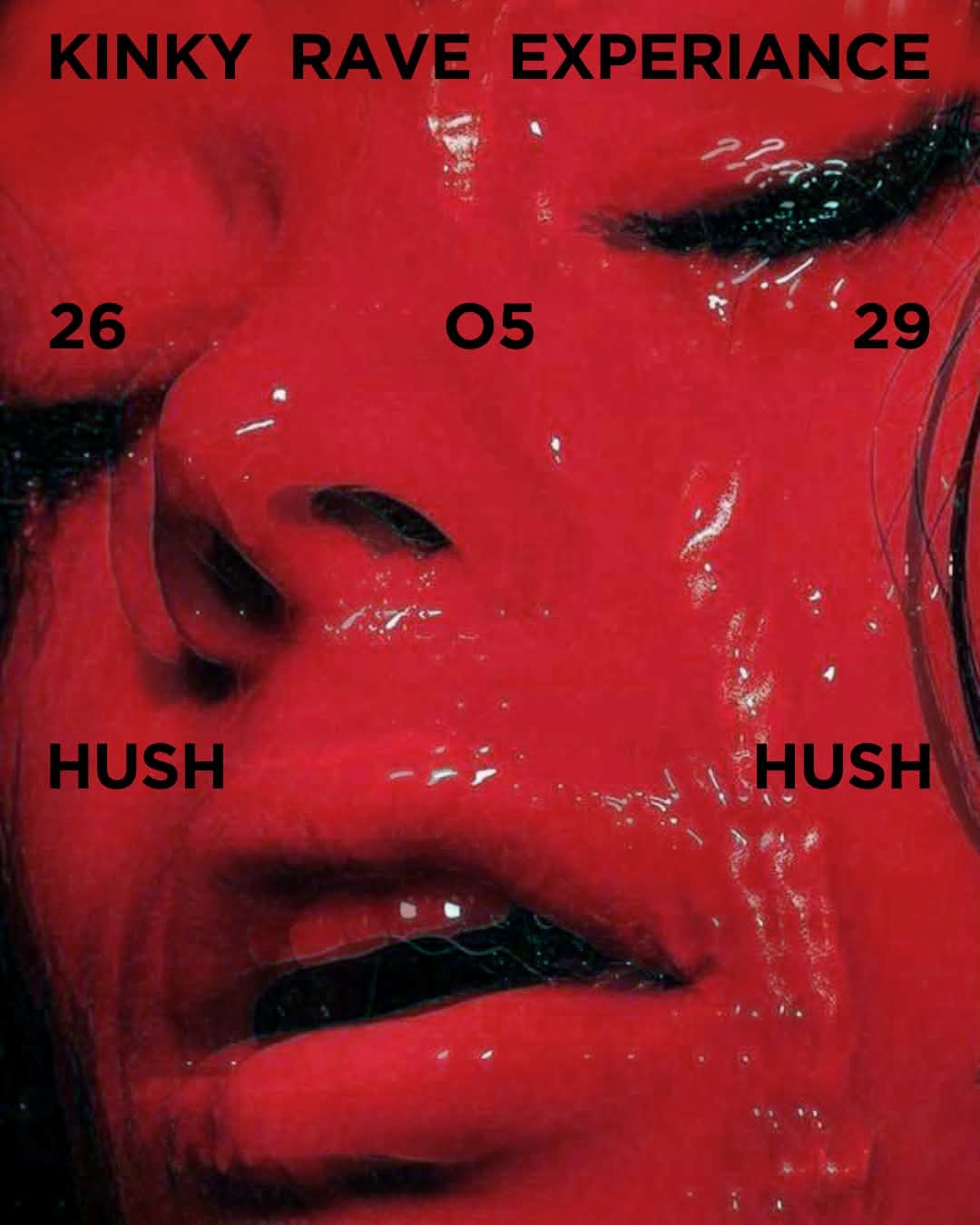 HUSH HUSH